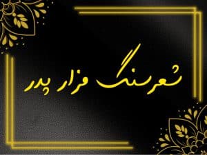 شعر سنگ قبر پدر